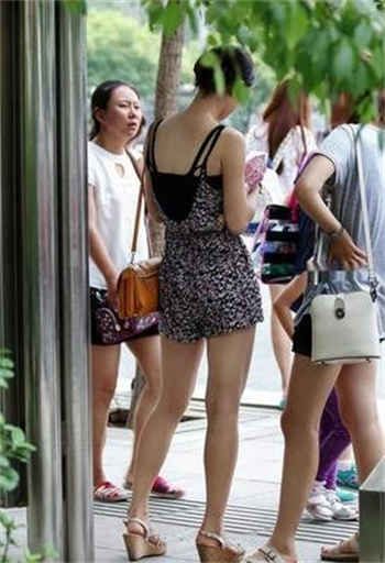 大象出版社网站