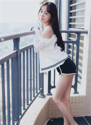 葵花宝典九阳真经视频分区