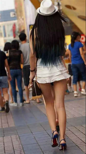 兔小白app在哪里可以下载