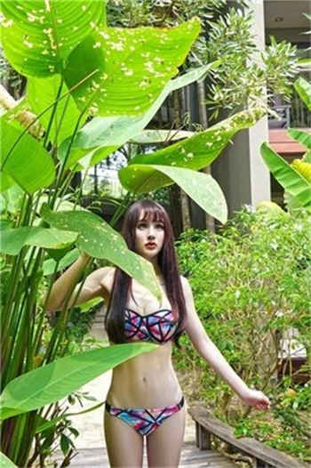 小甜豆txt宝书网