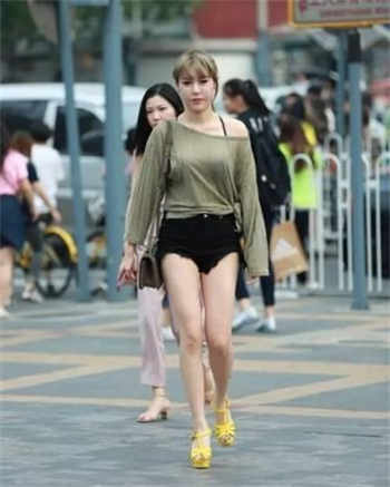 蔷薇hb旧版本