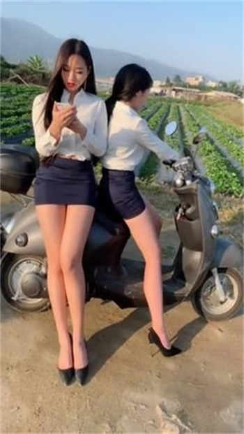射雕风流传之黄蓉目录