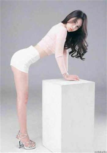 苏倾陆容渊