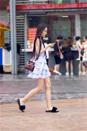 苏卿陆容渊无弹窗笔趣阁